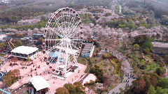 <strong>本文将深度解析公积金的多元用</strong>